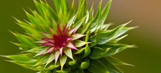 在线DDOS压力测试网页端